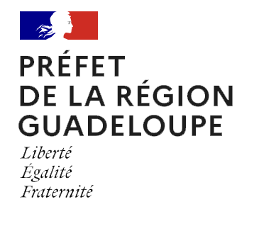 prefetregion